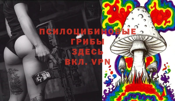 не бодяженный Переславль-Залесский