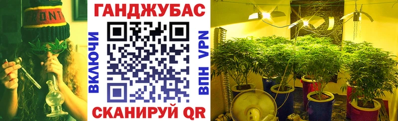 магазин продажи наркотиков  Прокопьевск  Бошки Шишки MAZAR 