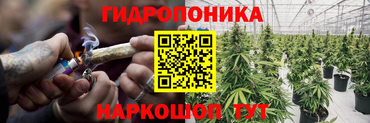 Прокопьевск  Бошки Шишки план  Вход с VPN  Бошки Шишки индика  Шишки марихуана тримм 